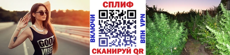 Купить АМФ  Метадон  Гашиш  Мефедрон  Cocaine  Канабис  Альфа ПВП  Шахунья