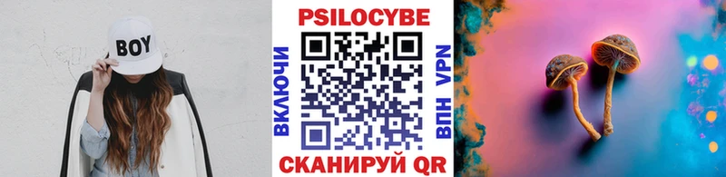 Псилоцибиновые грибы Psilocybine cubensis  Купить закладки  Шахунья 