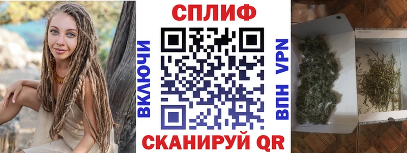 Каннабис конопля  Купить где  Шахунья 